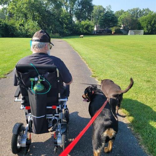 Taking Kingston and Lexie for a walk