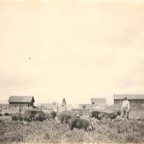 The Buchanan family farm on the National Road near Cumberland