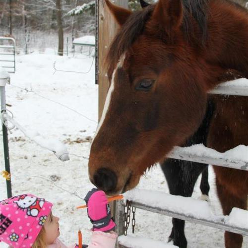 Up north at Grandmamas, giving the horses treats!