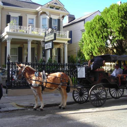 Doug discussing things with a mule in front of our hotel. Our room is the upper left window with black shutters and the round tower which had all stained glass. NOLA 2012
