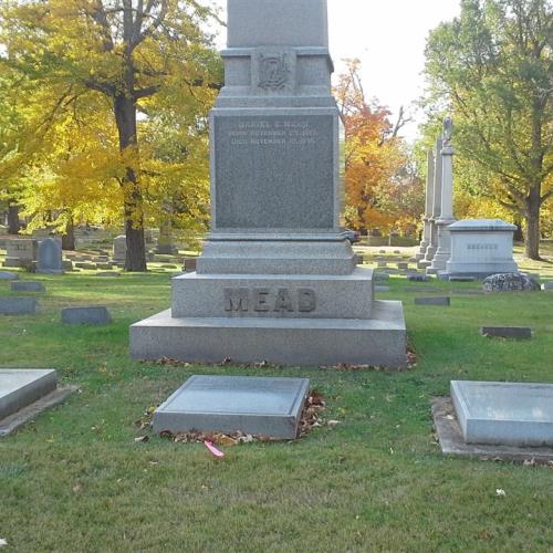 Mead Family Lot