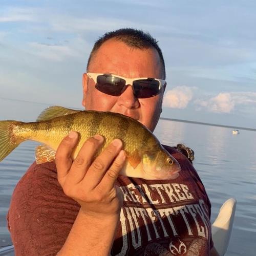 Perch!