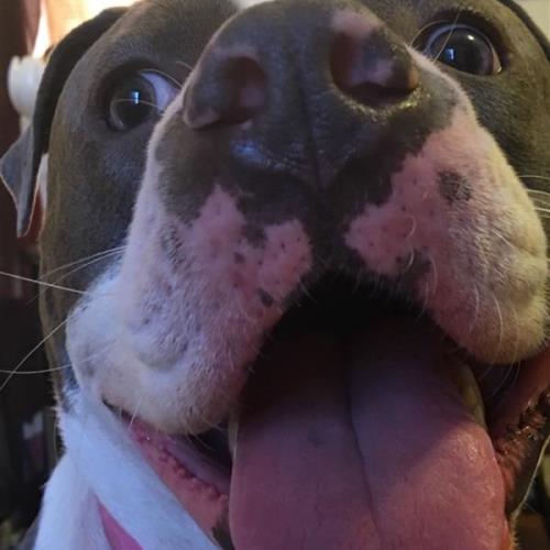 My beautiful karma
