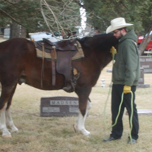 A riderless horse is a single horse without a rider and with boots reversed in the stirrups.