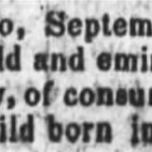 From the Sept. 9, 1858 edition of the Portage Sentinel, Ravenna, Ohio.