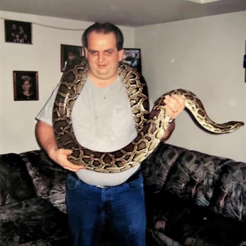 Dave the snake